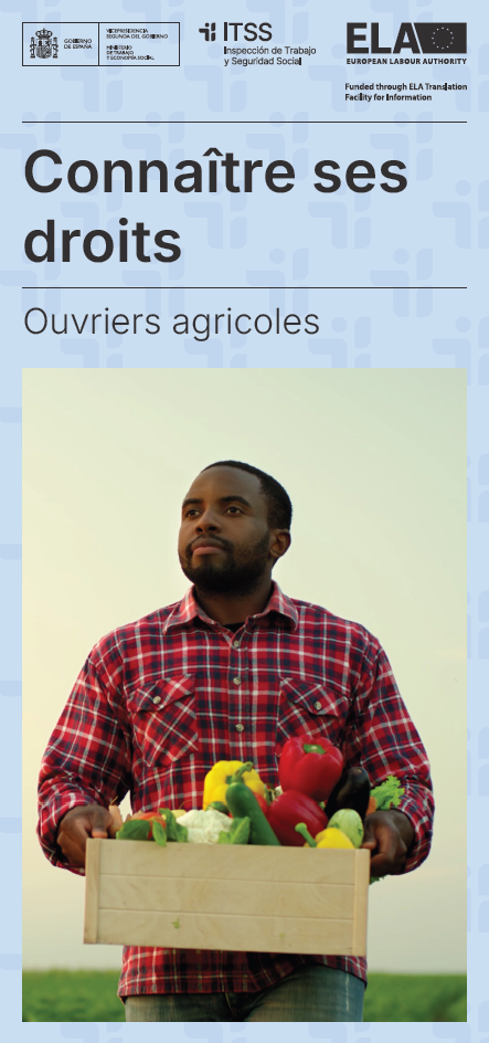 Plan estratégico